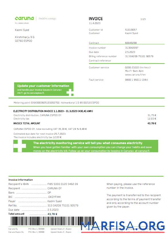 Realistic FINLAND CARUNA utility bill Word and PDF template